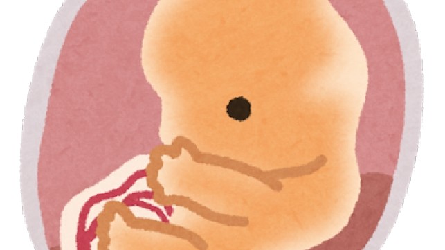 【妊娠初期】妊娠3ヶ月での妊婦さんの体の症状&胎児の変化まとめ