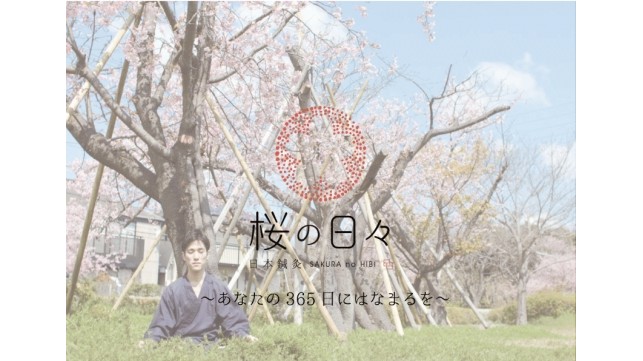 体で不調を感じている方必見！日本鍼灸「桜の日々」の魅力をお伝えします。