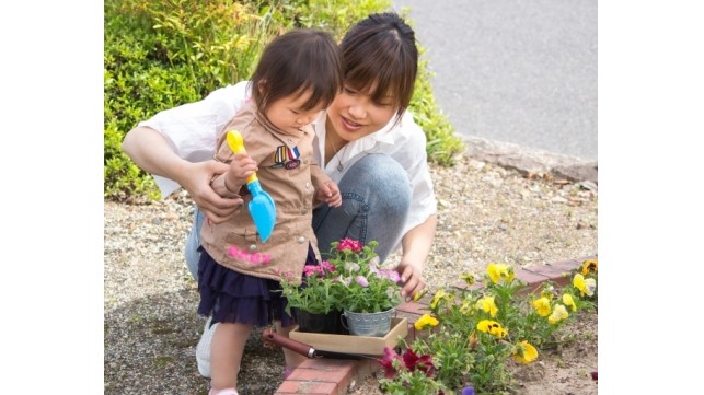 ～お花編～子どもと植物を育てて、子どもの心を育もう。「花育」育てやすい花3選