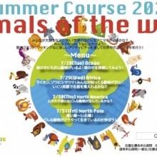 COCOAS Summer Course 2020開催決定!予約受付開始!!※ご予約終了いたしました。